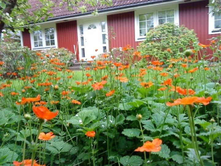 Jen'S B&B Ljungbyhed Esterno foto